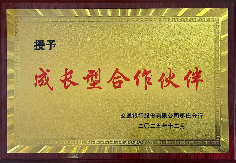 成长型合作伙伴